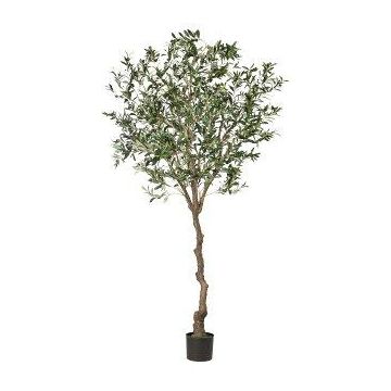 Umělý stromek olivovník WILDO, umělý kmen, plody, 240cm