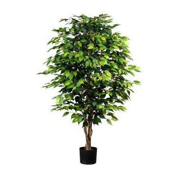 Umělý strom Ficus Benjamini ARNOMO, přírodní kmeny, 150cm Umělý strom Ficus Benjamini ARNOMO, přírodní kmeny, 150cm