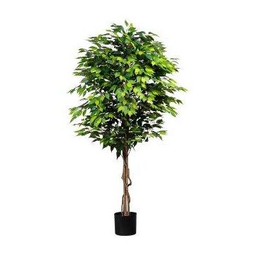 Umělý stromek Ficus Benjamini ARNOMO, přírodní kmeny, 180 cm Umělý stromek Ficus Benjamini ARNOMO, přírodní kmeny, 180 cm