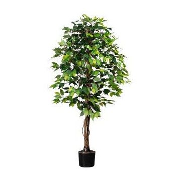 Dekorativní stromek Ficus Benjamini ONIN, přírodní stonky, 150cm Dekorativní stromek Ficus Benjamini ONIN, přírodní stonky, 150cm
