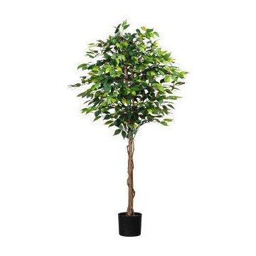 Dekorativní stromek Ficus Benjamini ONIN, přírodní stonky, 180cm Dekorativní stromek Ficus Benjamini ONIN, přírodní stonky, 180cm