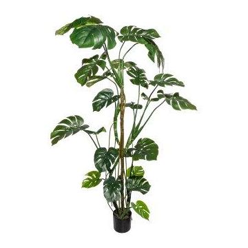 Umělý filodendron Monstera Deliciosa EIDERA, vzdušné kořeny, 180cm Umělý filodendron Monstera Deliciosa EIDERA, vzdušné kořeny, 180cm