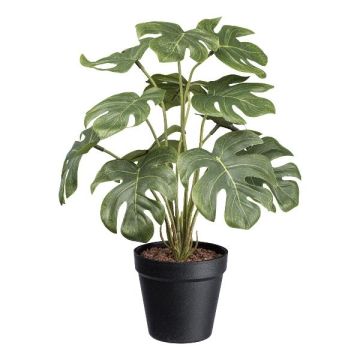 Umělý filodendron Monstera Deliciosa TOCON v dekorativním květináči, 40cm Umělý filodendron Monstera Deliciosa TOCON v dekorativním květináči, 40cm