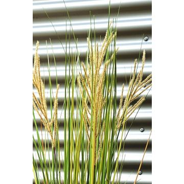 Umělý čínský rákos WASDIN s latami, zeleno-béžový, 125cm