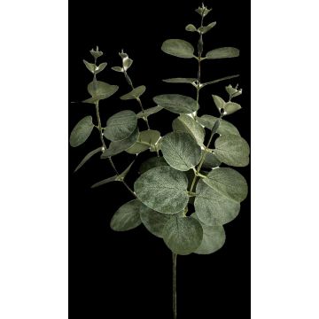 Eukalyptová umělá větev ERINDALS, zelenošedá, 60cm Eukalyptová umělá větev ERINDALS, zelenošedá, 60cm