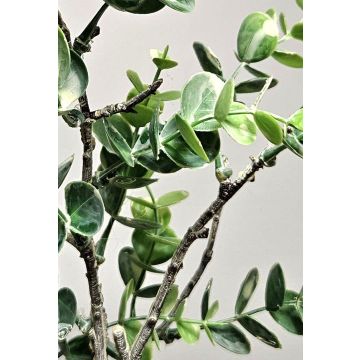 Umělá větvička eukalyptu NEKFAR, zelenošedá, 60cm Umělá větvička eukalyptu NEKFAR, zelenošedá, 60cm