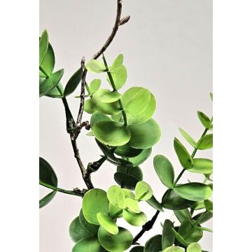 Umělá větev eukalyptu NEKFAR, zelená, 70cm