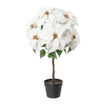 Sametová poinsettie DRENMA, dekorativní květináč, bílá, 75cm