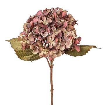 Umělá květina hortenzie TESSENCE, malvová, 45cm Umělá květina hortenzie TESSENCE, malvová, 45cm
