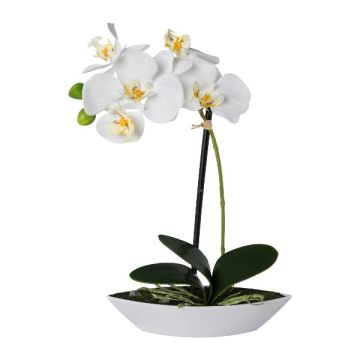 Umělá orchidej Phalaenopsis ORWAN, dekorativní květináč, kořeny, bílá, 30cm Umělá orchidej Phalaenopsis ORWAN, dekorativní květináč, kořeny, bílá, 30cm