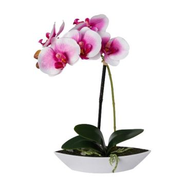 Umělá orchidej Phalaenopsis ORWAN, dekorativní květináč, kořeny, bílo-fialová, 30cm Umělá orchidej Phalaenopsis ORWAN, dekorativní květináč, kořeny, bílo-fialová, 30cm
