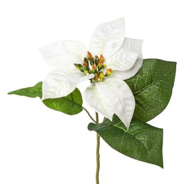 Plastová květina poinsettia HIKOL, bílá, 35cm