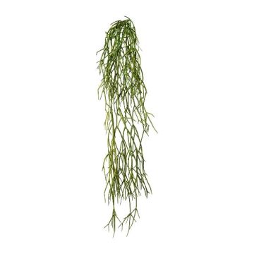 Umělý sukulent Rhipsalis WUNKE, keříčkový, tyčkový, závěsný, zelený, 60cm