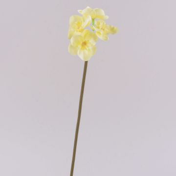 Umělý narcis SEPUNY, bíložlutý, 40cm Umělý narcis SEPUNY, bíložlutý, 40cm