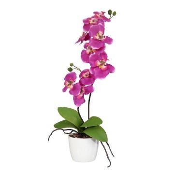 Dekorativní květina Phalaenopsis orchidej MORLEK, keramický květináč, kořeny, růžová, 60cm