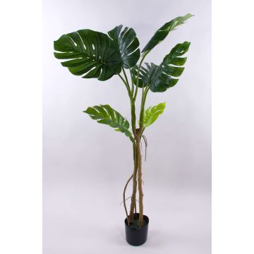 Umělá rostlina Philodendron monstera deliciosa CUNKYN v dekorativním květináči, 170cm