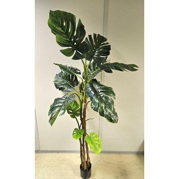 Umělá rostlina Philodendron monstera deliciosa CUNKYN v dekorativním květináči, 180cm
