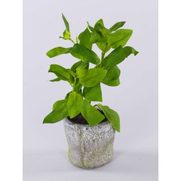 Umělá rostlina bazalka POLINDA v dekorativním květináči, zelená, 26cm