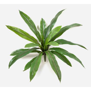 Umělá rostlina hnízdo kapradí JANE, tyč, zelená, 40cm