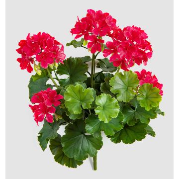 Umělá pelargonie OTTAVIA na tyči, křížová dvířka, růžová, 40cm
