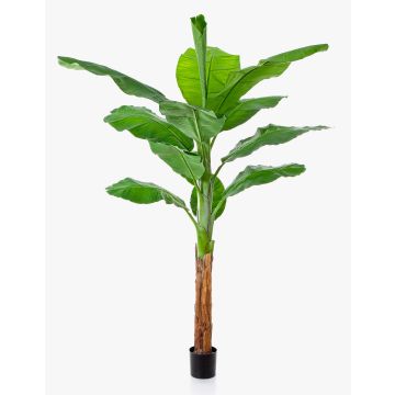 Umělý banánovník OMERA, 200cm