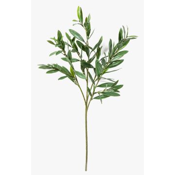 Plastová olivová větvička BRANDAR, křížová, zelená, 70cm Plastová olivová větvička BRANDAR, křížová, zelená, 70cm