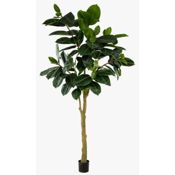 Umělý kaučukovník BAKWEN, umělý kmen, zelený, 300cm