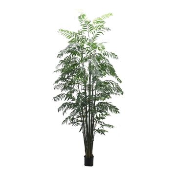 Umělá horská palma BAKNEL, kmen, 300cm