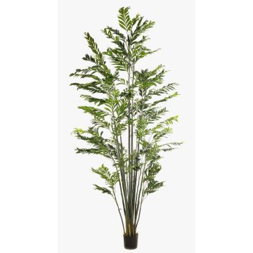 Umělá horská palma BAKNEL, kmen, 300cm