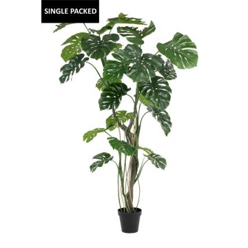 Umělá rostlina Philodendron monstera deliciosa TANIESO, umělý kmen, vzdušné kořeny, 210cm Umělá rostlina Philodendron monstera deliciosa TANIESO, umělý kmen, vzdušné kořeny, 210cm