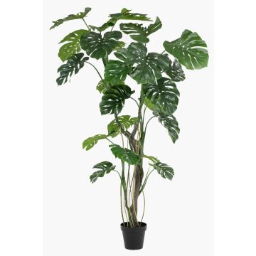 Umělá rostlina Philodendron monstera deliciosa TANIESO, umělý kmen, vzdušné kořeny, 210cm Umělá rostlina Philodendron monstera deliciosa TANIESO, umělý kmen, vzdušné kořeny, 210cm