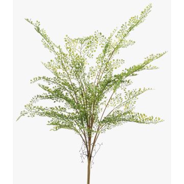Umělá rostlina panenská kapradina GLERAN na tyči, kořeny, zelená, 75cm Umělá rostlina panenská kapradina GLERAN na tyči, kořeny, zelená, 75cm