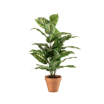 Umělá rostlina Dieffenbachia ELSAWA v terakotovém květináči, zelená, 65cm Umělá rostlina Dieffenbachia ELSAWA v terakotovém květináči, zelená, 65cm