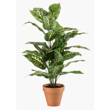 Umělá rostlina Dieffenbachia ELSAWA v terakotovém květináči, zelená, 65cm