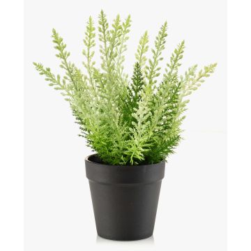 Umělý vřes ELSAWO v dekoračním květináči, křížový, bílo-zelený, 30cm Umělý vřes ELSAWO v dekoračním květináči, křížový, bílo-zelený, 30cm