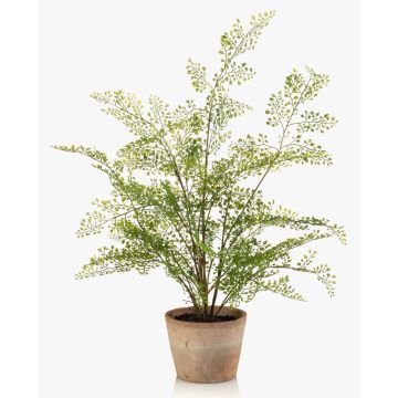 Umělá rostlina panenská kapradina GLERAN v terakotovém květináči, kořeny, zelená, 65cm
