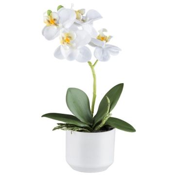 Textilní orchidej Phalaenopsis WERKAN, keramický květináč, kořeny, bílá, 27cm Textilní orchidej Phalaenopsis WERKAN, keramický květináč, kořeny, bílá, 27cm