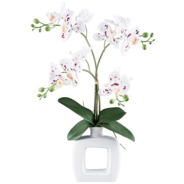 Umělá orchidej Phalaenopsis DRUKLON, keramická váza, kořeny, bílo-červená, 40cm Umělá orchidej Phalaenopsis DRUKLON, keramická váza, kořeny, bílo-červená, 40cm