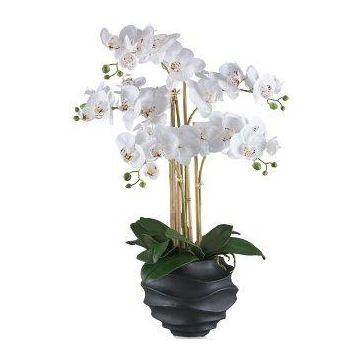 Umělá orchidej Phalaenopsis STONFER, dekorativní květináč černý, kořeny, bílá, 70cm