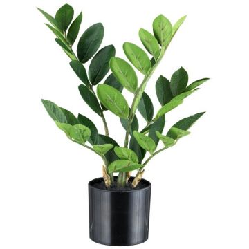 Umělá rostlina Zamioculcas BLUHAR, 35cm Umělá rostlina Zamioculcas BLUHAR, 35cm