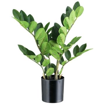 Umělá rostlina Zamioculcas BLUHAR, 45cm Umělá rostlina Zamioculcas BLUHAR, 45cm
