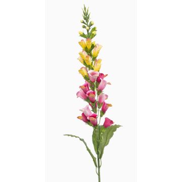 Umělý náprstník SCHYNRA, žlutorůžový, 95cm