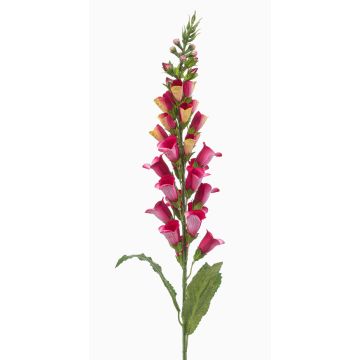 Umělý náprstník SCHYNRA, růžovo-žlutý, 95cm