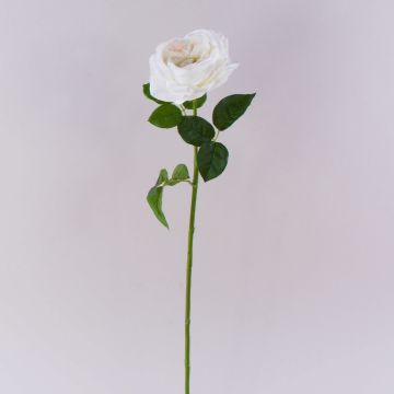 Umělá růže GINAKAL, smetanově bílá, 65cm