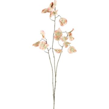 Umělá větvička sladkého hrášku SAJIN, broskvově zelená, 100cm Umělá větvička sladkého hrášku SAJIN, broskvově zelená, 100cm