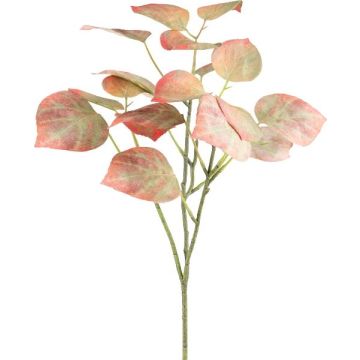 Dekorativní větvička černého topolu SOLVEN, červenozelená, 60cm Dekorativní větvička černého topolu SOLVEN, červenozelená, 60cm