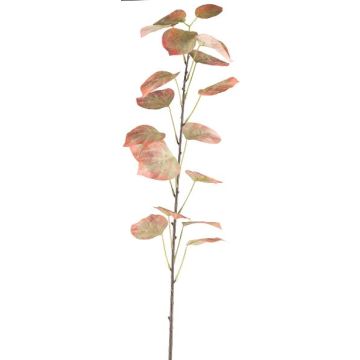 Dekorativní větev černého topolu SOLVEN, červenozelená, 120cm Dekorativní větev černého topolu SOLVEN, červenozelená, 120cm