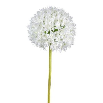 Umělá květina Allium KLATE, bílá, 90cm Umělá květina Allium KLATE, bílá, 90cm