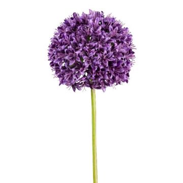 Umělá květina Allium KLATE, fialová, 90cm Umělá květina Allium KLATE, fialová, 90cm