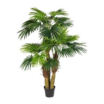Umělá palma Washingtonia URSUL, 185cm Umělá palma Washingtonia URSUL, 185cm